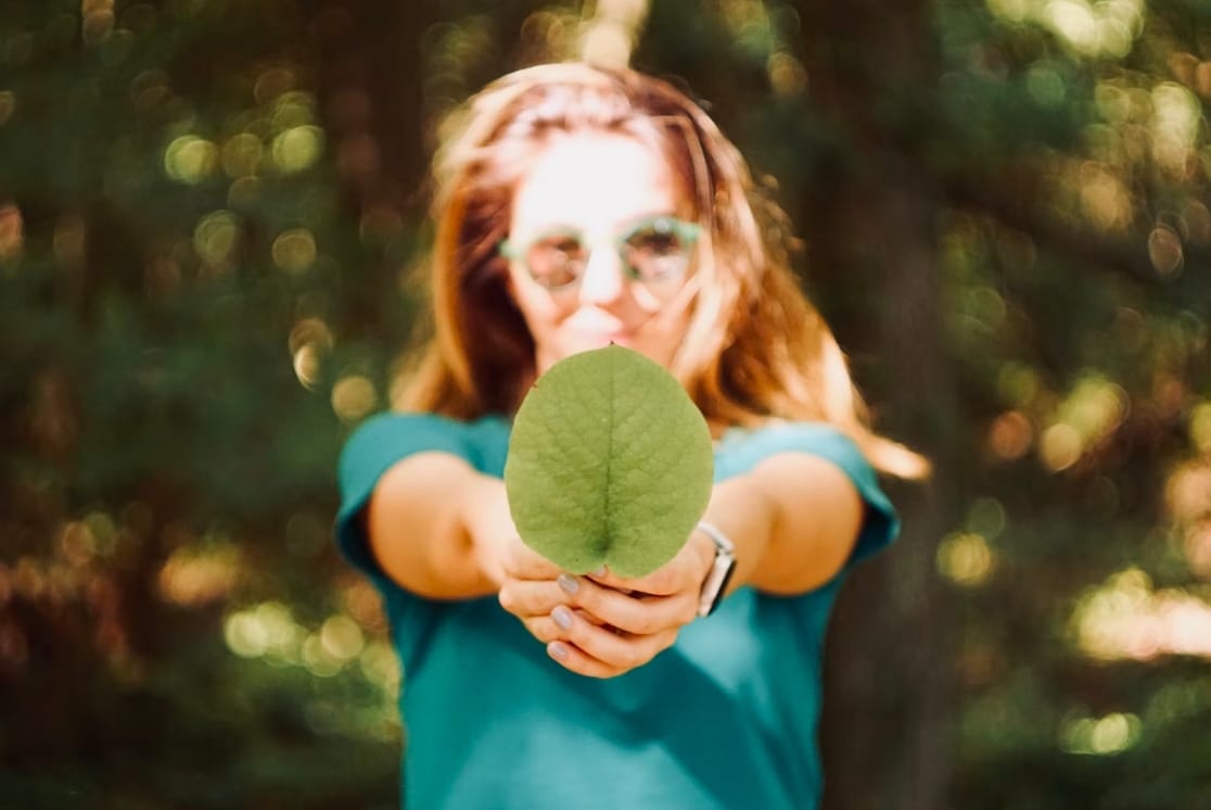 How your charity can be more environmentally conscious